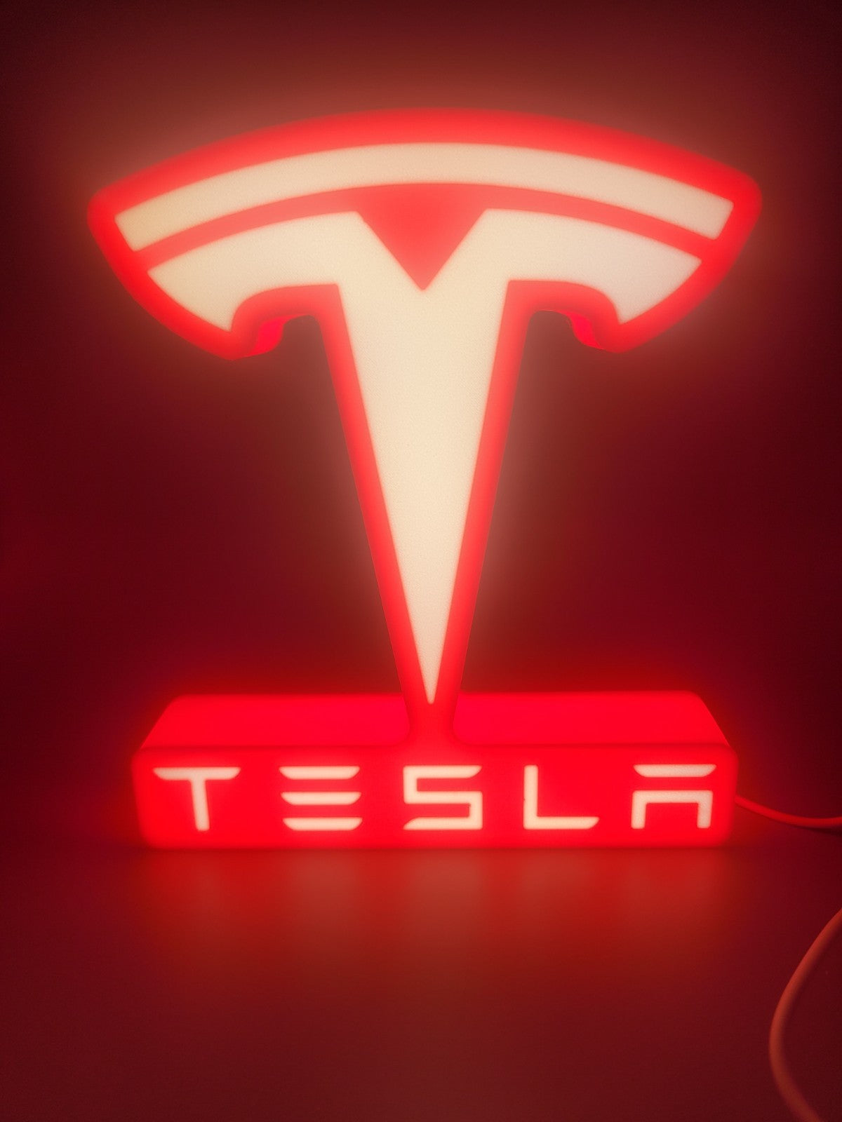 TESLA LED light sign with illuminated logo viewed from straight on