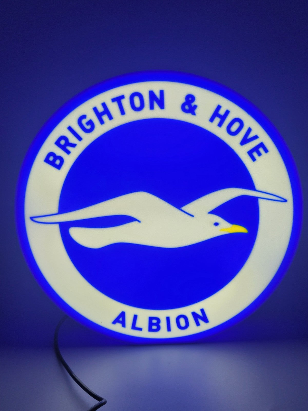 Brighton and Hove F.C. LED light sign with illuminated logo viewed from straight on