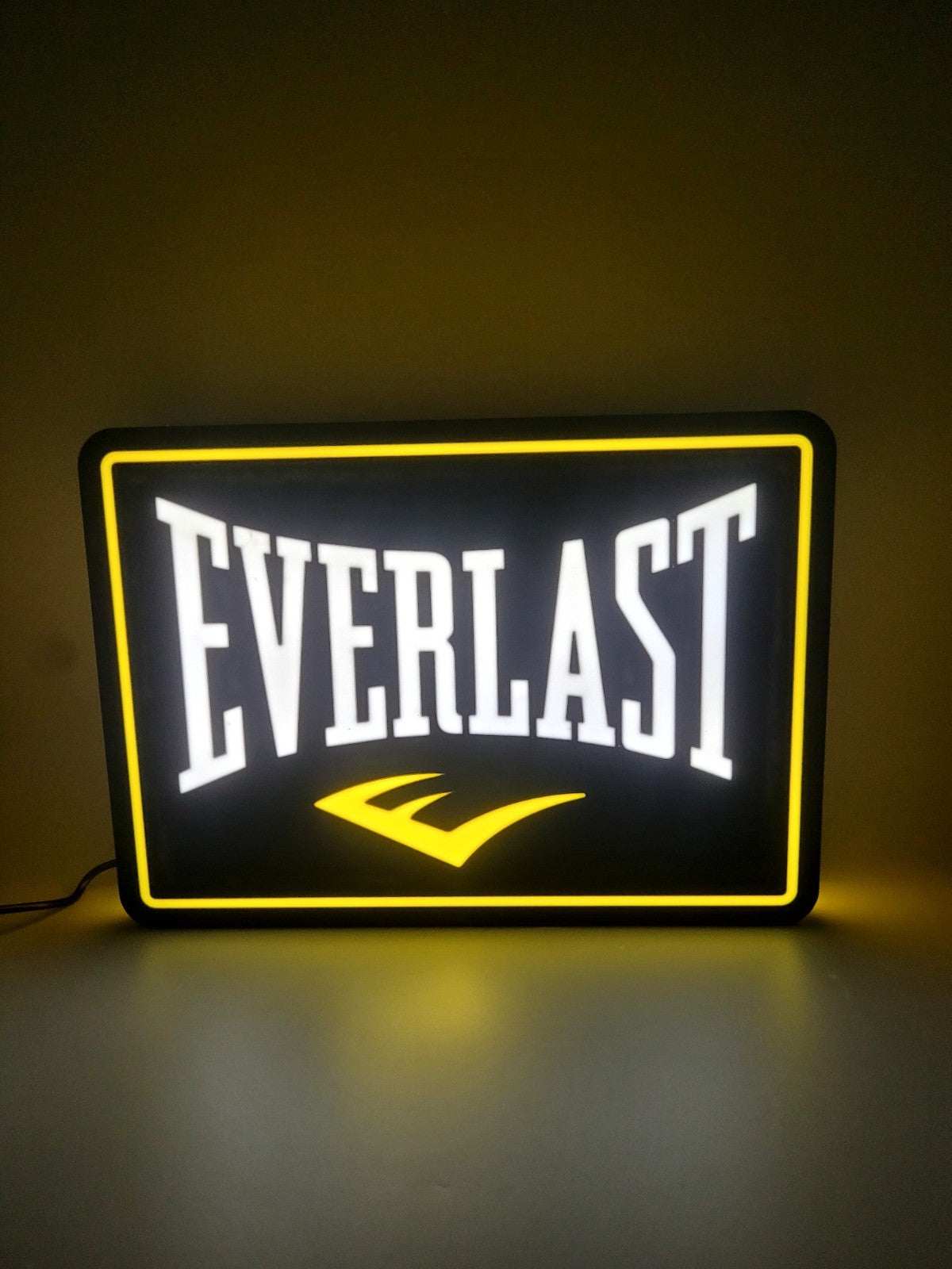 Everlast LED light sign with illuminated logo viewed from straight on