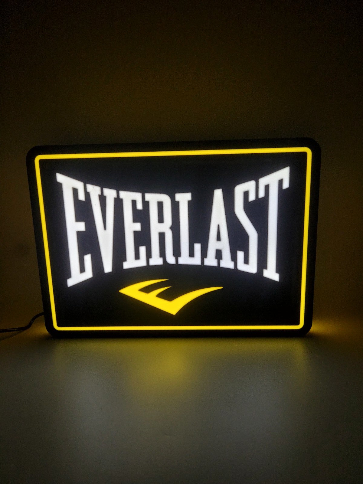 Everlast LED light sign with illuminated logo viewed from straight on
