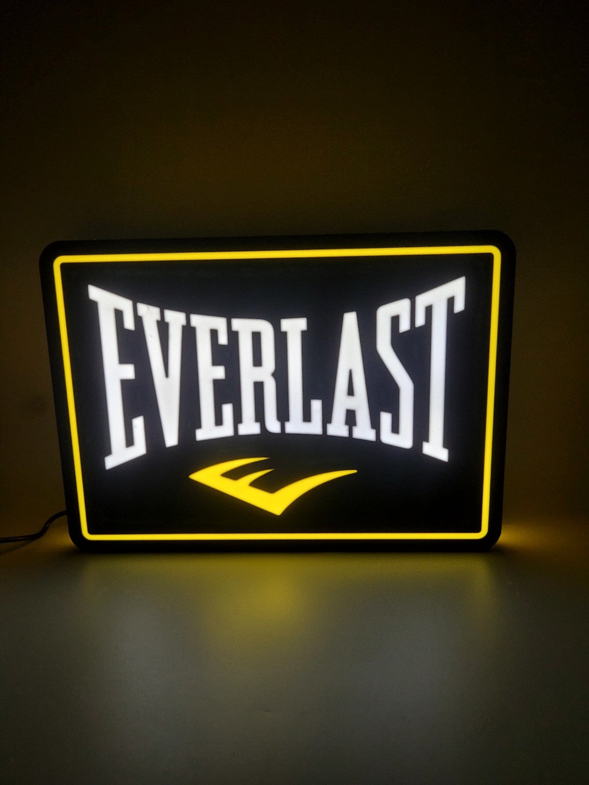 Everlast LED light sign with illuminated logo viewed from straight on