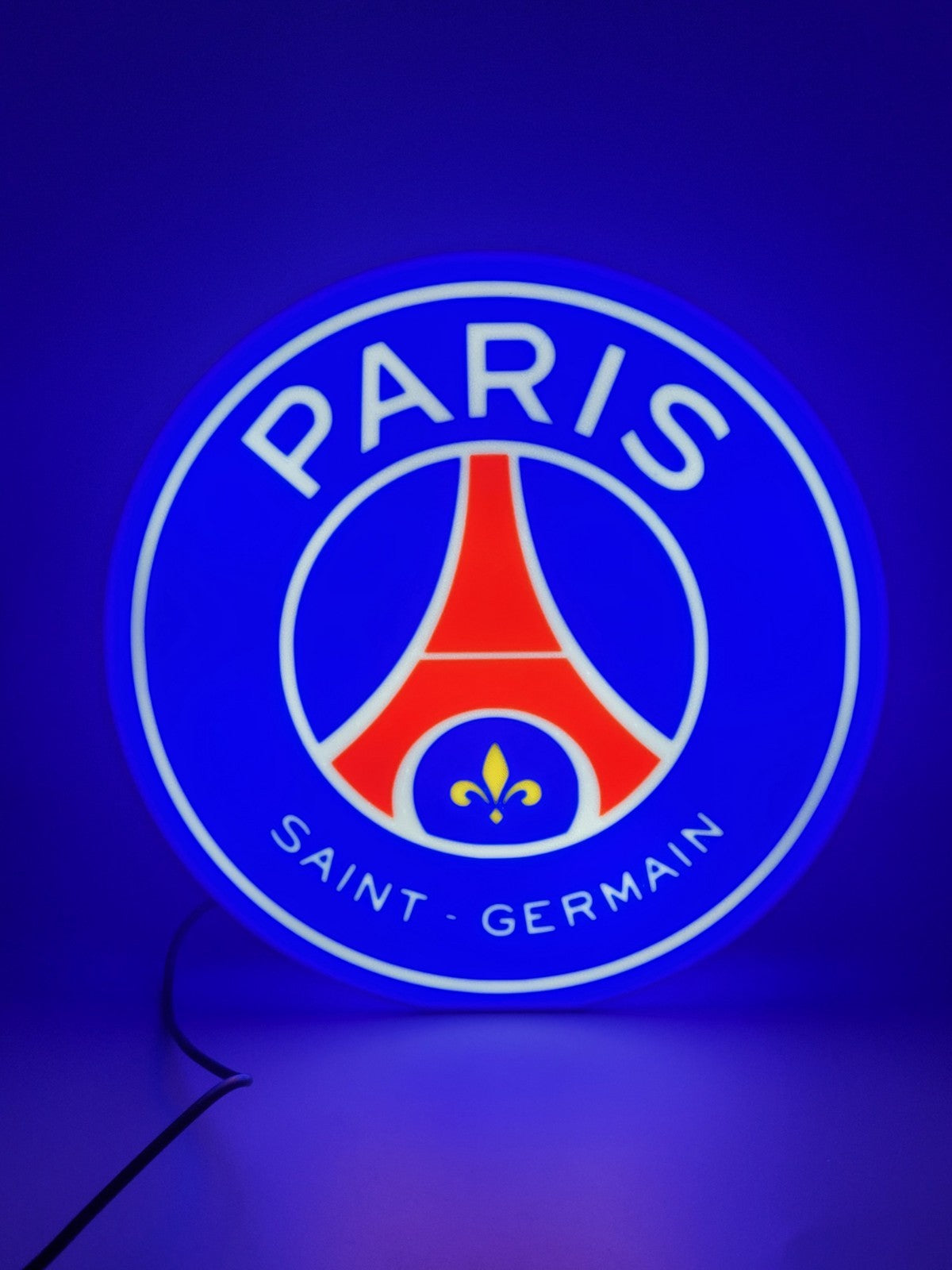 Paris Saint Germain LED light sign with illuminated logo viewed from straight on