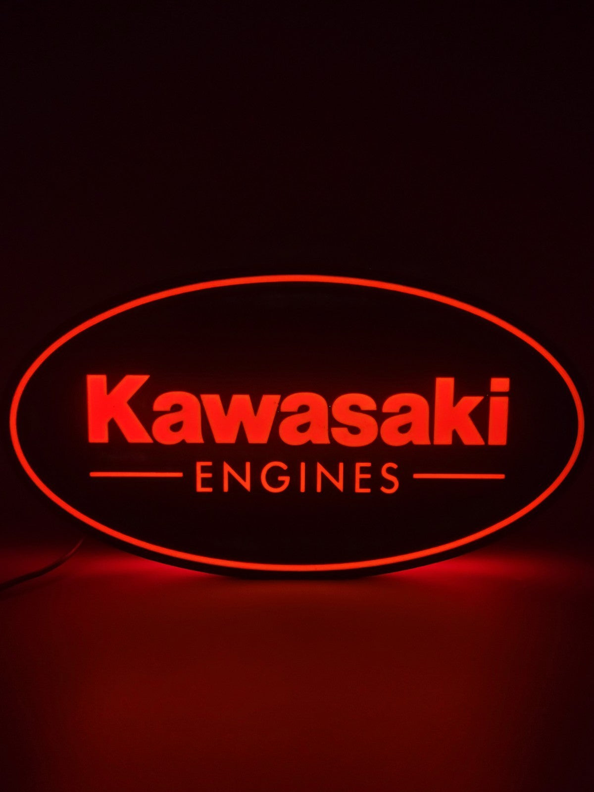 Kawasaki LED light sign with illuminated logo viewed from straight on
