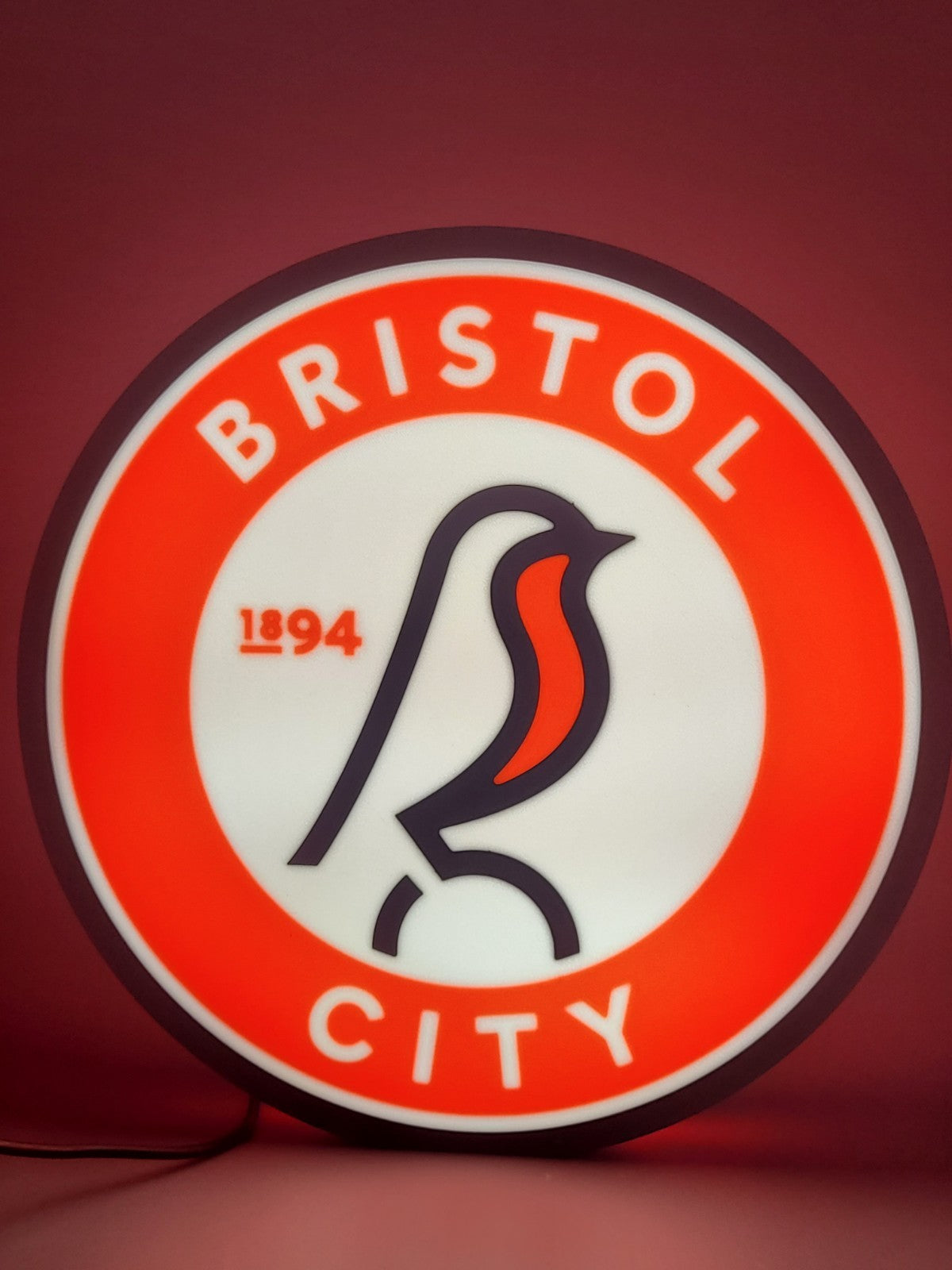 Bristol LED light sign with illuminated logo viewed from straight on