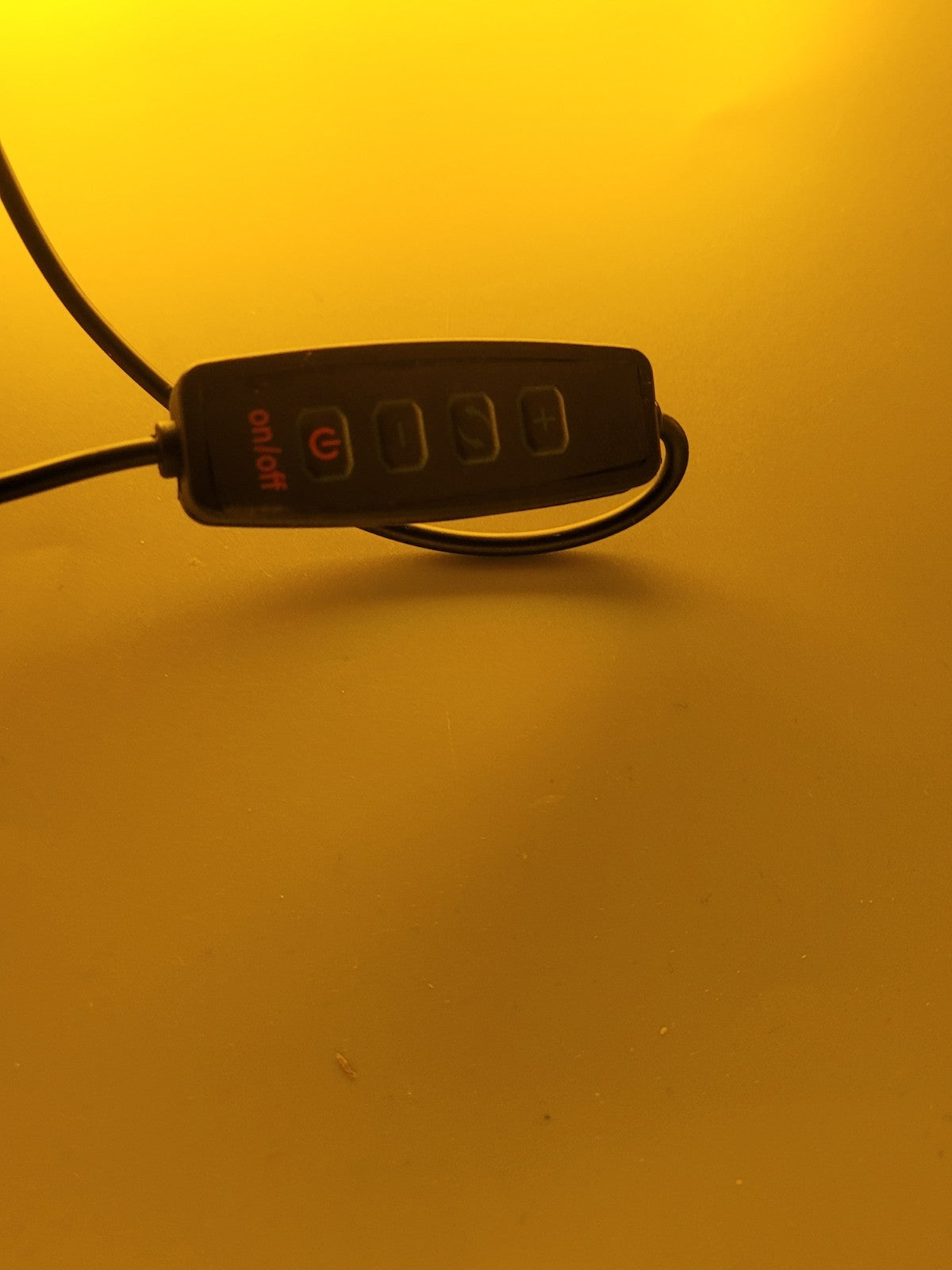 Buckfast LED Light Sign