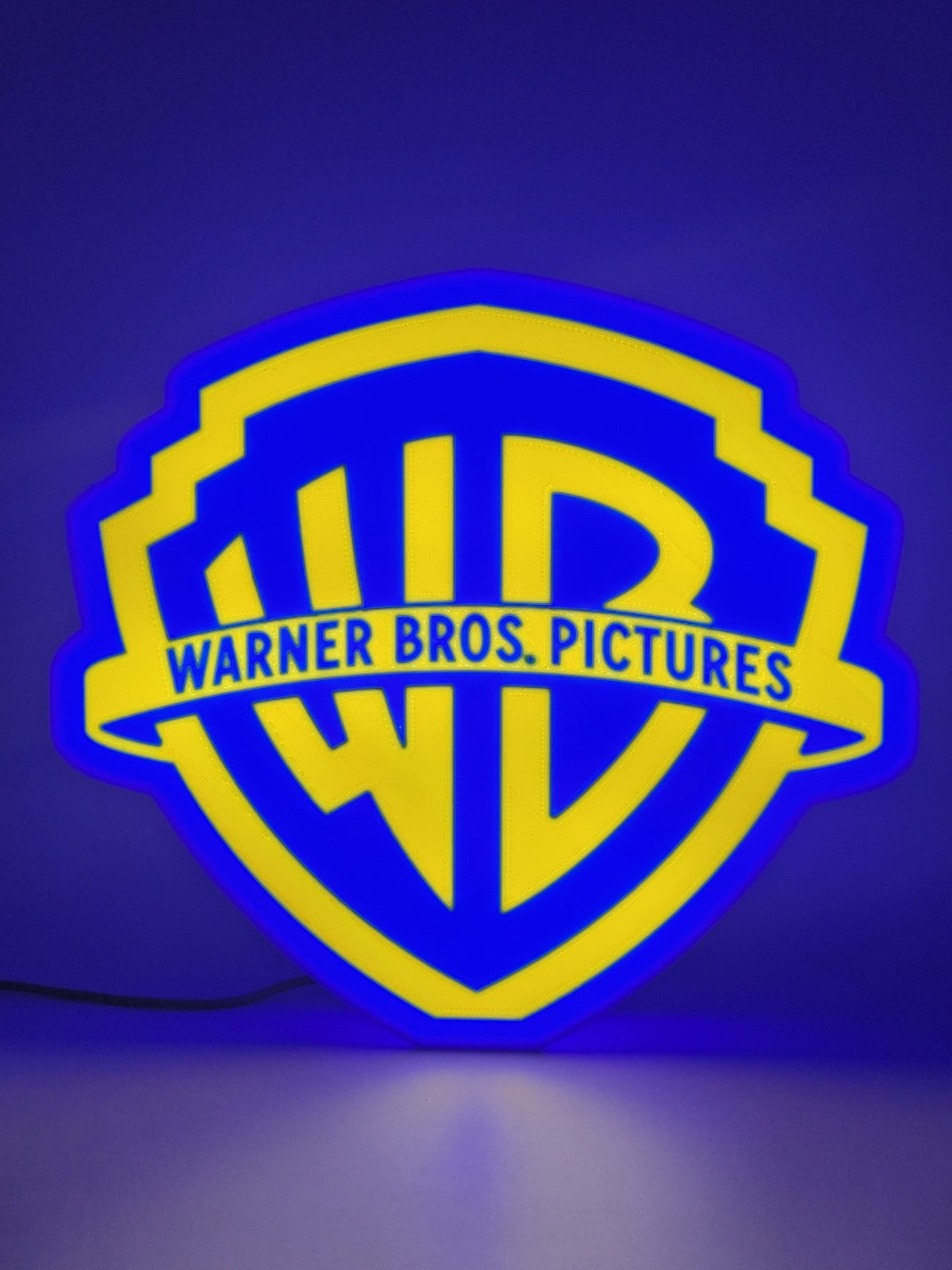 Warner Bros led light sign with illuminated logo viewed from straight on